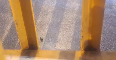 Acribillan a mujer afuera del Minka del Callao