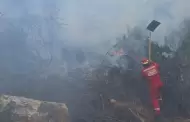Extinguen incendios forestales en cuatro regiones: 747 hectáreas de cobertura natural quedaron destruidas