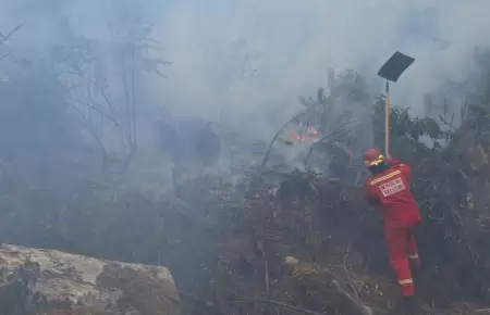 Extinguen incendios forestales en tres regiones.