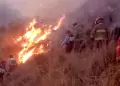 Arequipa: Cuatro incendios forestales en menos de 15 das deja ms de mil hectreas afectadas