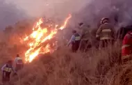 Arequipa: Cuatro incendios forestales en menos de 15 das deja ms de mil hectreas afectadas