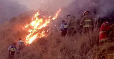 Incendios forestales en Arequipa.
