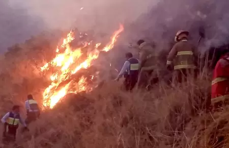 Incendios forestales en Arequipa.