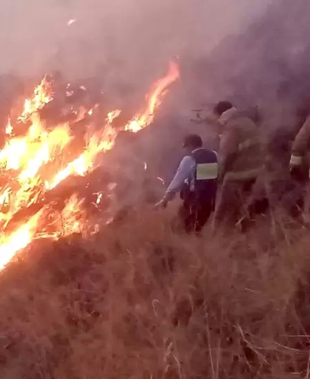 Incendios forestales en Arequipa.