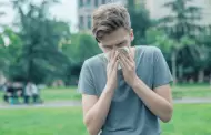 Alergias en primavera: Conoce cmo aliviar sus sntomas para recuperar el bienestar