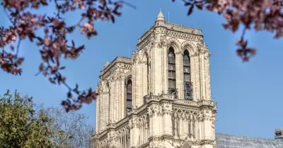 Torres de Notre Dame volverán a ser accesibles al público.