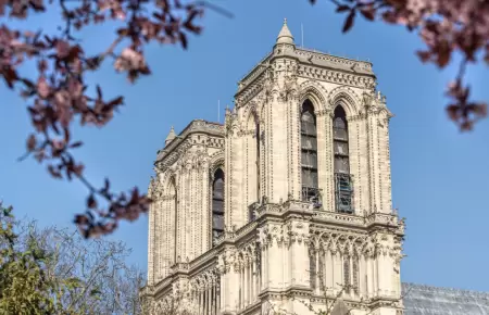 Torres de Notre Dame volvern a ser accesibles al pblico.