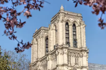 Torres de Notre Dame volvern a ser accesibles al pblico.
