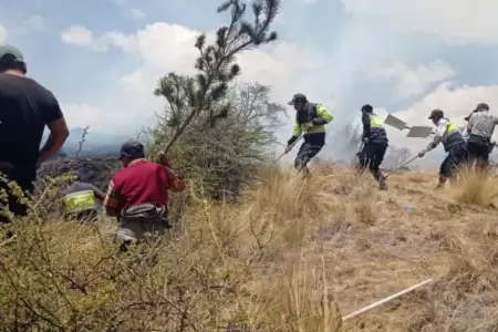Extinguen incendios forestales al interior del pas.