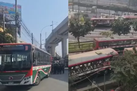Buses de empresa Santa Catalina