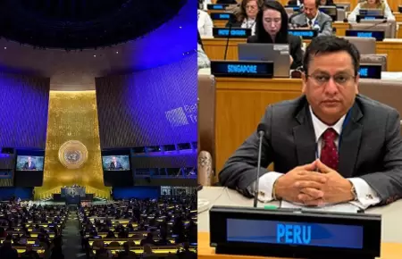 Ministerio de Salud y el Per ante la ONU