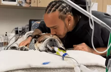 Lewis Hamilton vive duro momento por salud de su perrito Roscoe