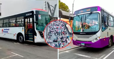 ATU anuncia desvos del corredor Morado y AeroDirecto Ventanilla.