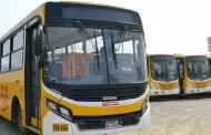 Empresa de transportes La 50 suspende sus servicios por extorsiones y ataques a otras compaas