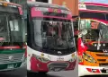 Empresas de transporte de San Juan de Lurigancho y Cono Este no acatarn paro anunciado para este 2 de octubre