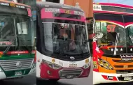 Empresas de transporte de San Juan de Lurigancho y Cono Este no acatarn paro anunciado para este 2 de octubre