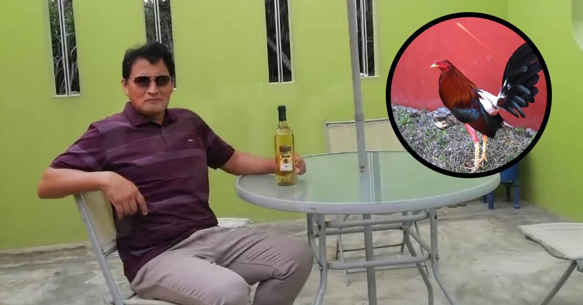 Barranca: Hombre muere tras ataque de gallo de pelea en Paramonga
