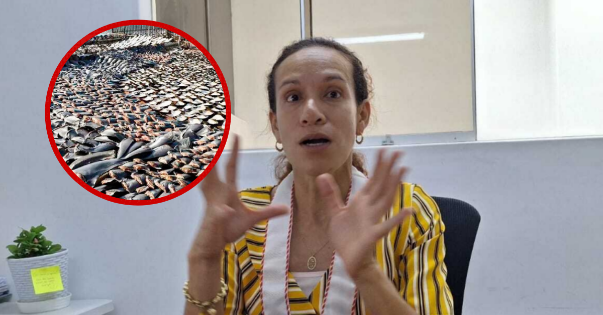 Áncash: Banda criminal 'Los Empresarios' amenaza de muerte a fiscal contra tráfico de especies marinas