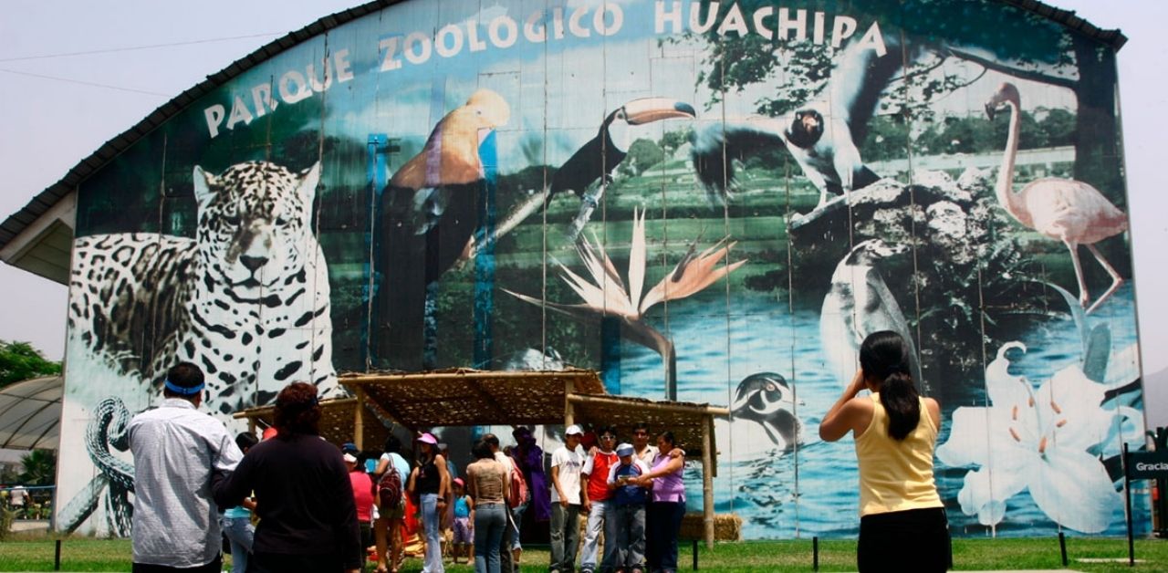 Congreso: Proponen la eliminación progresiva de los zoológicos públicos a nivel nacional