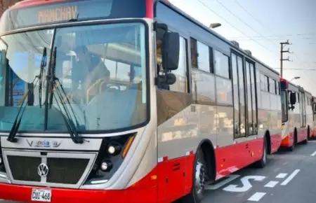 Corredor Rojo llega desde el 1 de octubre a Manchay.
