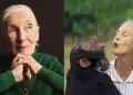 Jane Goodall fallece a los 91 aos: Investigadora es reconocida por demostrar que los chimpancs tienen sentimientos