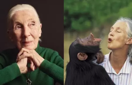 Jane Goodall, activista y especialista en la vida salvaje falleci a los 91 aos