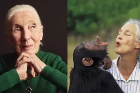 Jane Goodall, activista y especialista en la vida salvaje falleci a los 91 aos