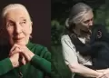 Jane Goodall fallece a los 91 aos: Investigadora demostr que los chimpancs tienen sentimientos