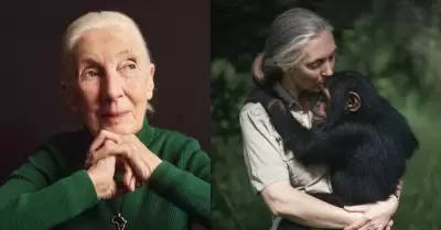 Jane Goodall, activista y especialista en la vida salvaje falleci a los 91 aos
