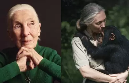 Jane Goodall, activista y especialista en la vida salvaje falleci a los 91 aos