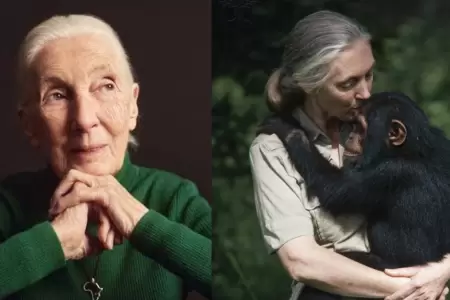 Jane Goodall, activista y especialista en la vida salvaje falleci a los 91 aos