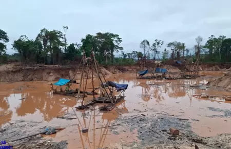 Ms de 60 efectivos desarticulan infraestructura de mineros ilegales en la Amazo