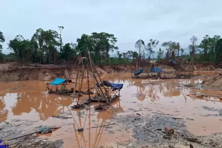 Ms de 60 efectivos desarticulan infraestructura de mineros ilegales en la Amazo