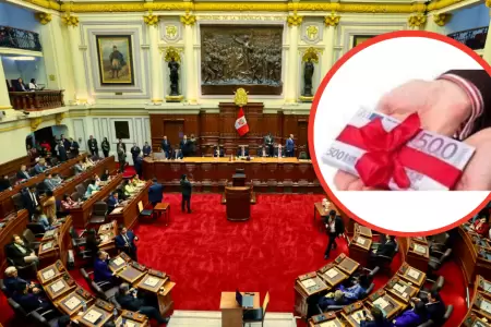 Proyecto de ley para regular obsequios a funcionarios pblicos electos