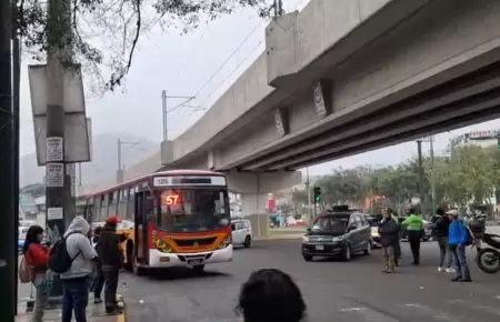 Liberan vas en San Juan de Lurigancho