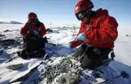 Orgullo! Proyecto liderado por investigador peruano es seleccionado para desarrollarse en la Antrtida