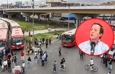 Allison critica actitud del Gobierno con transportistas.