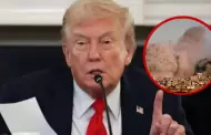 Trump anuncia el acuerdo de primera fase entre Israel y Hams de su 'Plan de Paz'