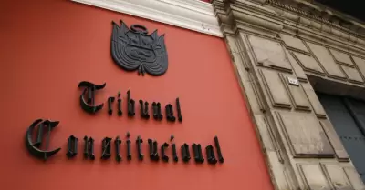 TC admite a trámite demanda inconstitucionalidad presentada por la Defensoría de