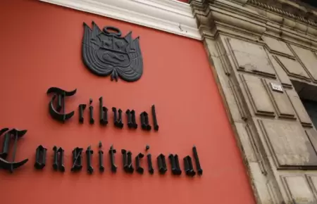 TC admite a trmite demanda inconstitucionalidad presentada por la Defensora de