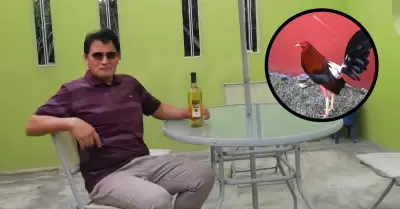 Hombre muere tras ataque de gallo de pelea en Paramonga