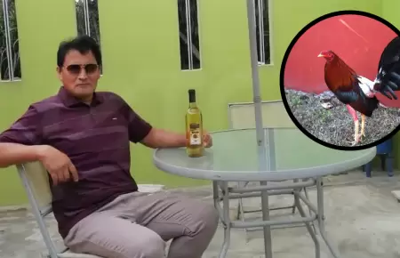 Hombre muere tras ataque de gallo de pelea en Paramonga
