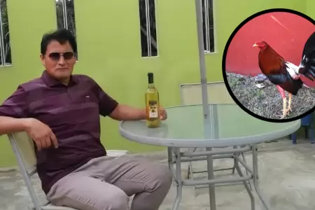 Hombre muere tras ataque de gallo de pelea en Paramonga