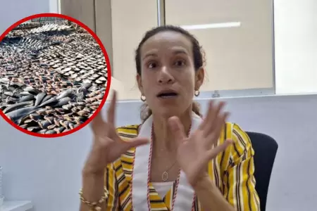 Fiscal es amenazada de muerte por labor contra el trfico ilcito de especies