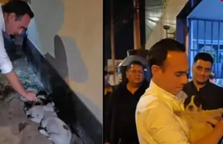 Jer rescata cachorras