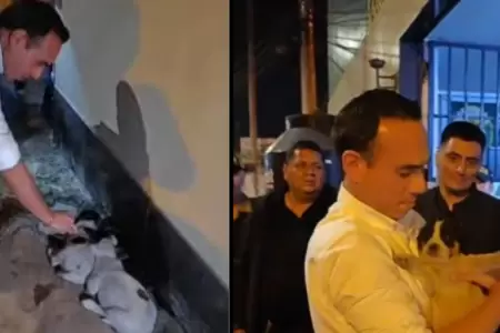 Jer rescata cachorras