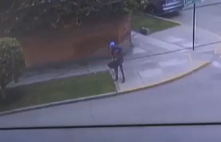 Identifican a sujeto que habra envenenado a perritos en San Isidro.