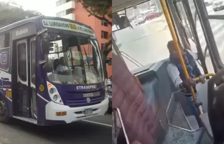 Ladrn atrapado en bus de la 10E.