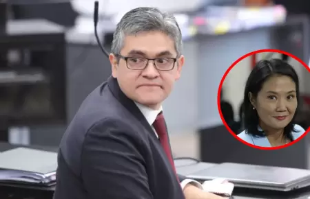 Jos Domingo Prez crtico con fallo del TC.