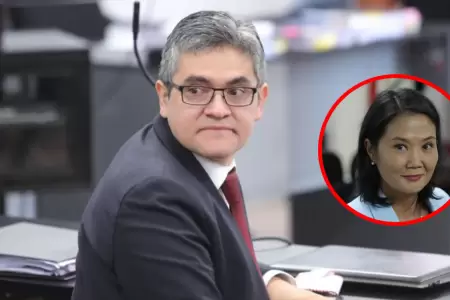 Jos Domingo Prez crtico con fallo del TC.